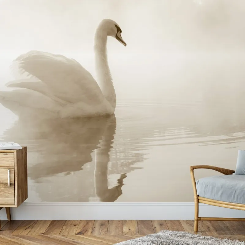 Fototapeta elegancki łabędź we mgle