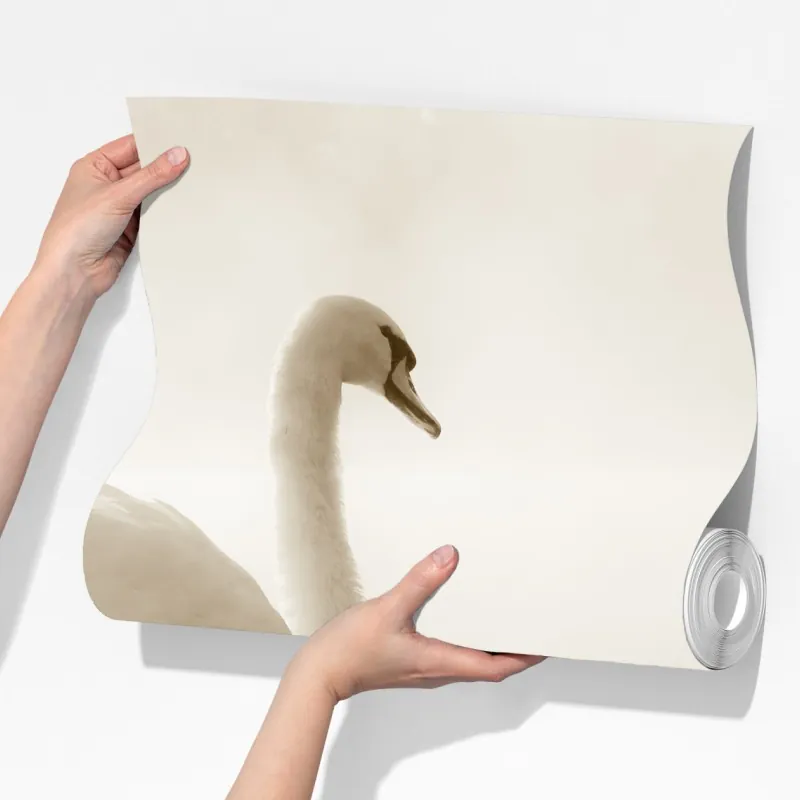 Fototapeta elegancki łabędź we mgle – Wallissimo® Fototapeta elegancki łabędź we mgle – Wallissimo®