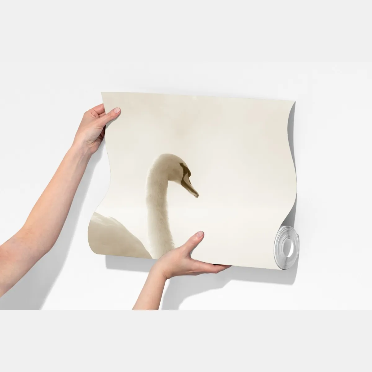 Fototapeta elegancki łabędź we mgle – Wallissimo® Fototapeta elegancki łabędź we mgle – Wallissimo®