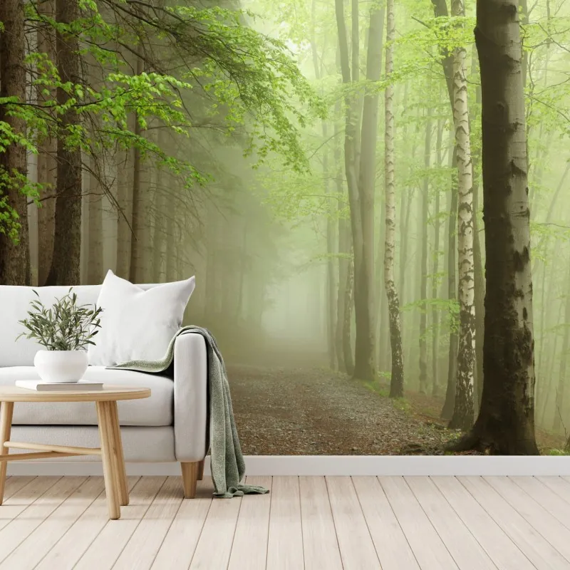 Fototapeta mglisty leśny szlak
