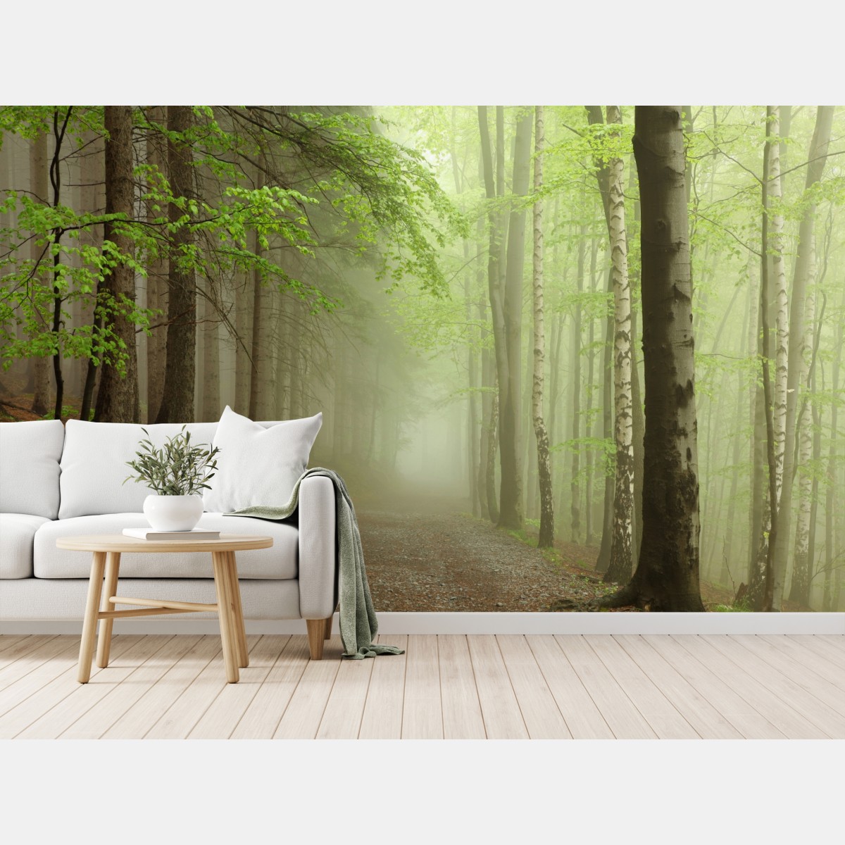 Wall mural misty forest path