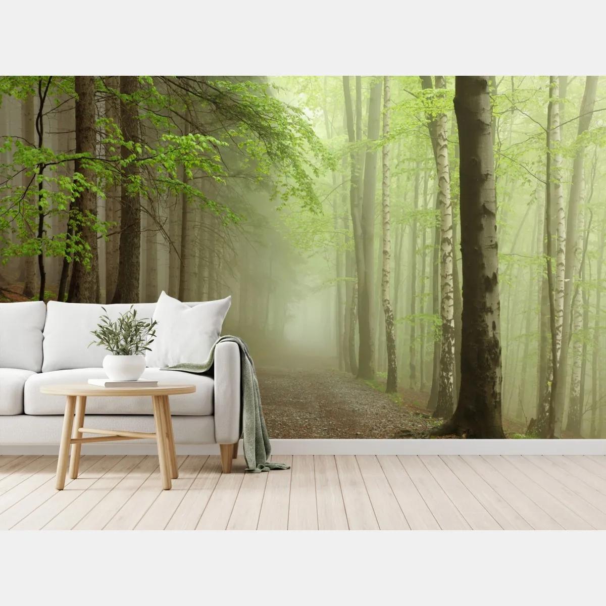 Fototapeta mglisty leśny szlak – Wallissimo® Fototapeta mglisty leśny szlak – Wallissimo®