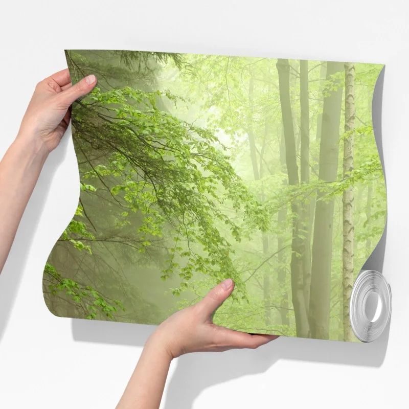 Fototapeta mglisty leśny szlak – Wallissimo® Fototapeta mglisty leśny szlak – Wallissimo®