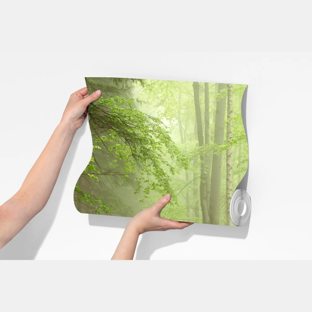 Fototapeta mglisty leśny szlak – Wallissimo® Fototapeta mglisty leśny szlak – Wallissimo®