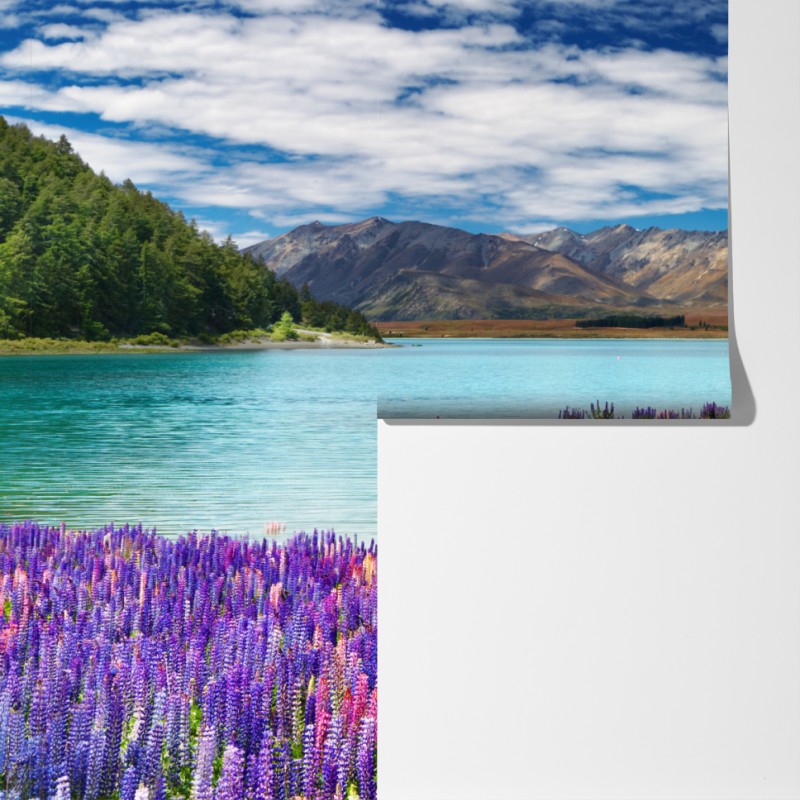 Fototapeta Lake Tekapo łubinowy dywan nad turkusowym jeziorem – Wallissimo® Fototapeta Lake Tekapo łubinowy dywan nad turkusowym jeziorem – Wallissimo®