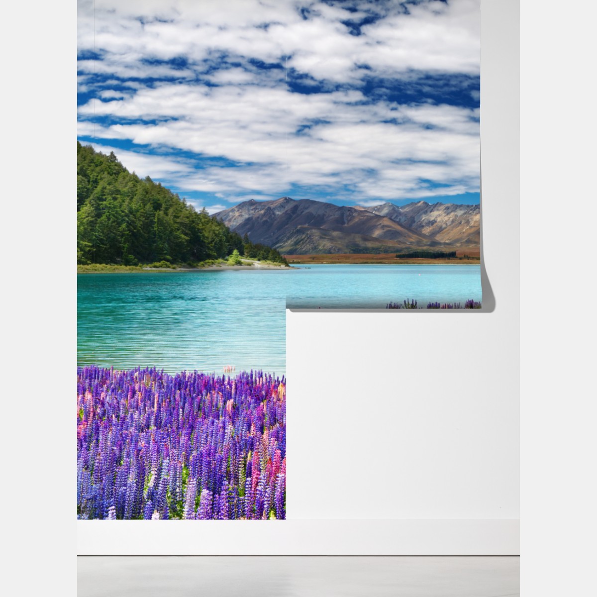 Fototapeta Lake Tekapo łubinowy dywan nad turkusowym jeziorem – Wallissimo® Fototapeta Lake Tekapo łubinowy dywan nad turkusowym jeziorem – Wallissimo®