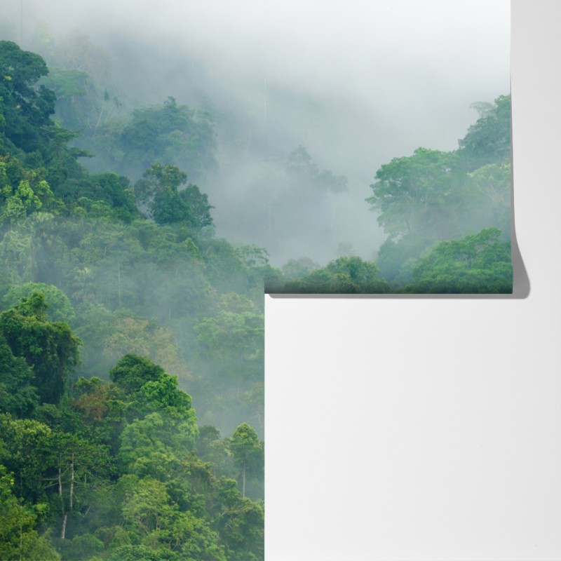 Fototapeta poranna mgła nad Kaeng Krachan – Wallissimo® Fototapeta poranna mgła nad Kaeng Krachan – Wallissimo®