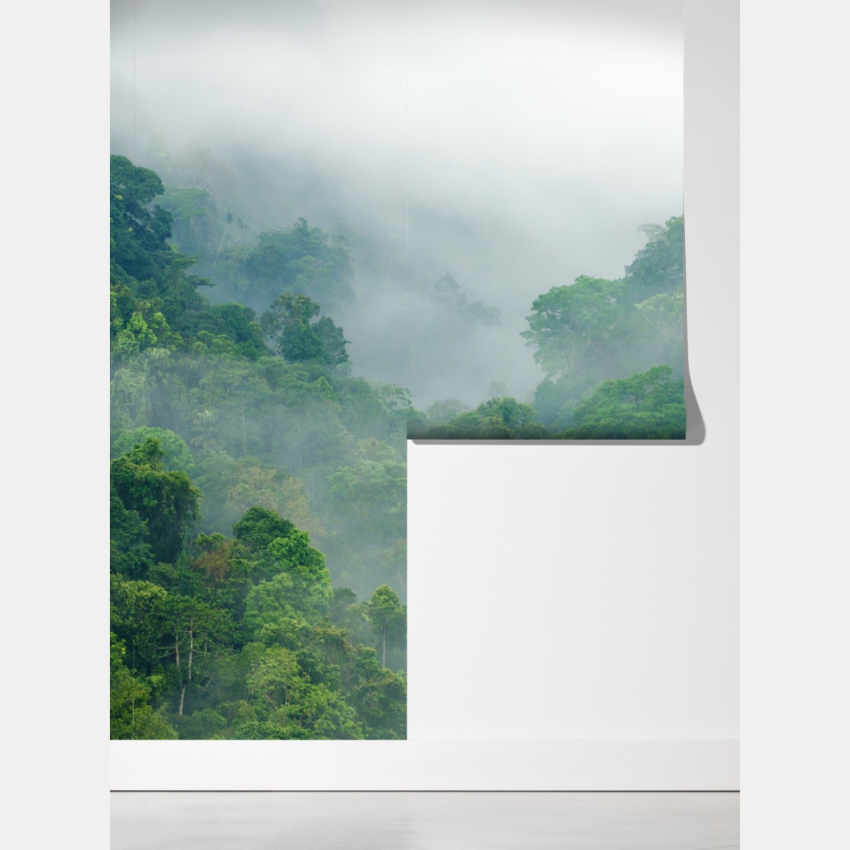 Fototapeta poranna mgła nad Kaeng Krachan – Wallissimo® Fototapeta poranna mgła nad Kaeng Krachan – Wallissimo®