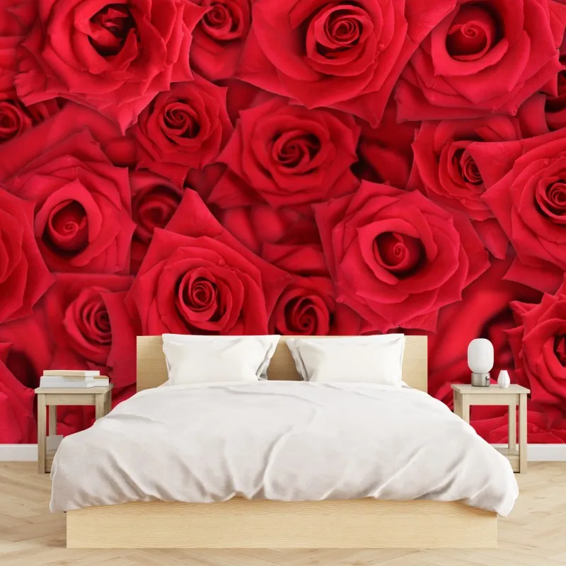 Fototapeta żywe czerwone róże kolaż