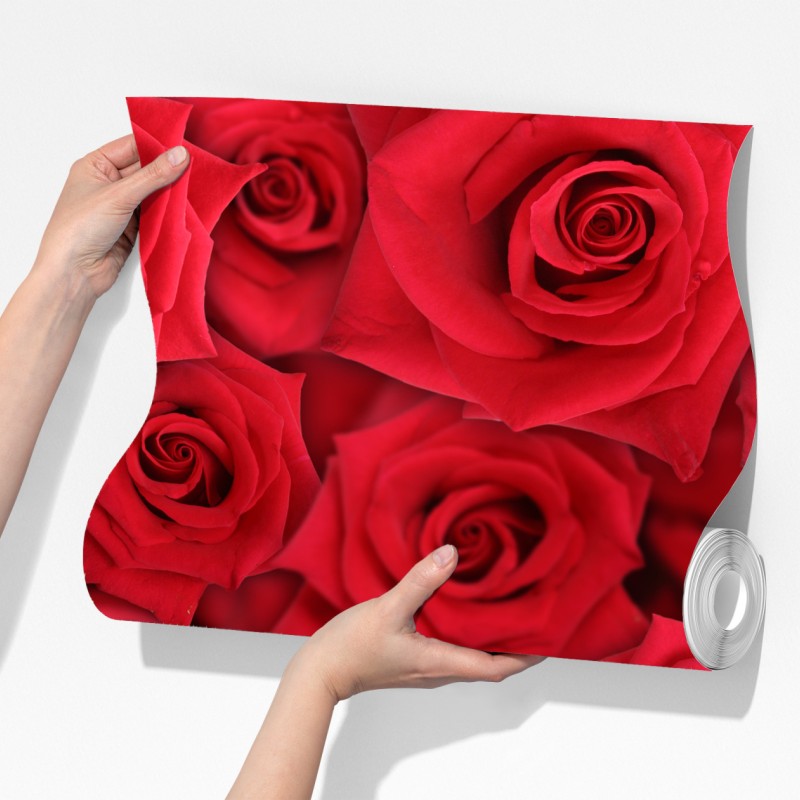 Fototapeta żywe czerwone róże kolaż – Wallissimo® Fototapeta żywe czerwone róże kolaż – Wallissimo®