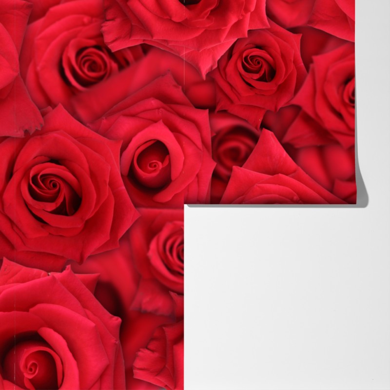 Fototapeta żywe czerwone róże kolaż – Wallissimo® Fototapeta żywe czerwone róże kolaż – Wallissimo®