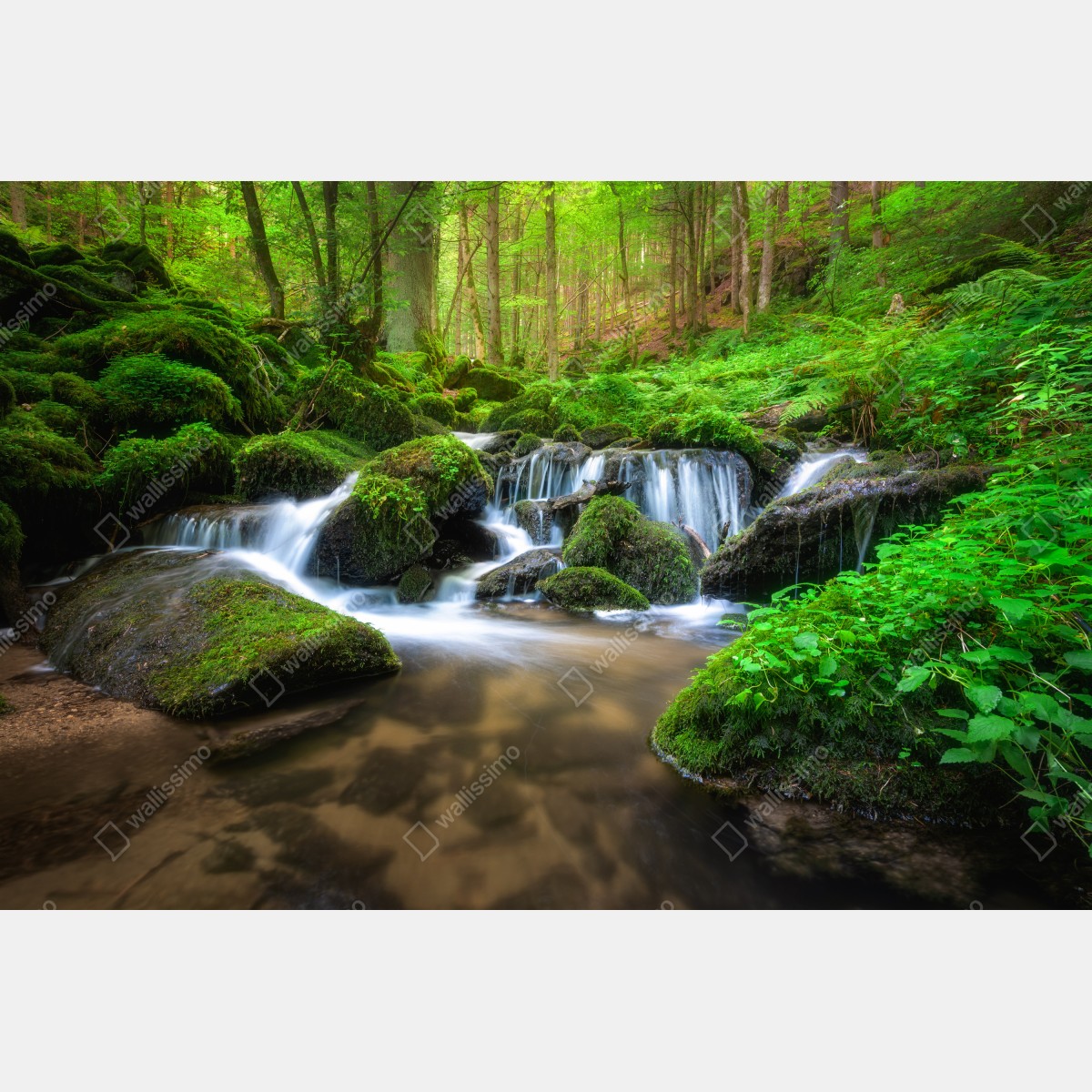 Fototapeta spokojny mechowy wodospad w lesie – Wallissimo® Fototapeta spokojny mechowy wodospad w lesie – Wallissimo®
