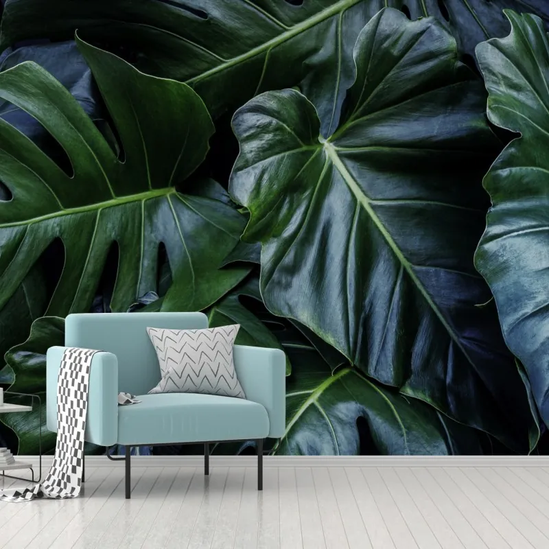 Fototapeta bujna tropikalna monstera – Wallissimo® Fototapeta bujna tropikalna monstera – Wallissimo®