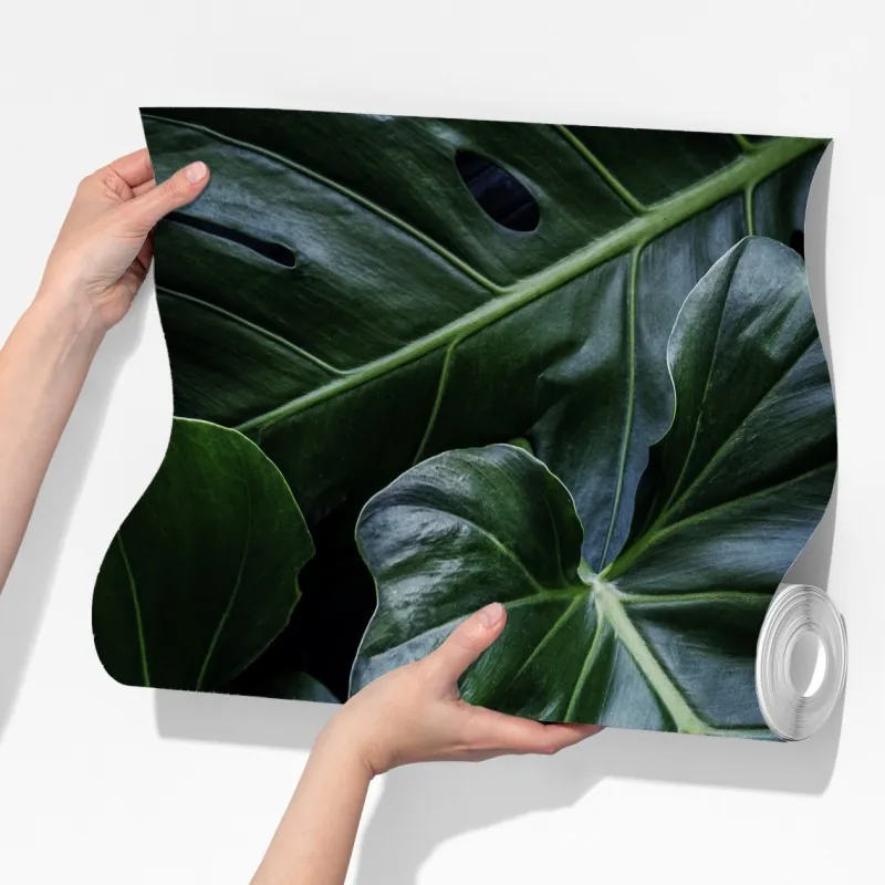 Fototapeta bujna tropikalna monstera – Wallissimo® Fototapeta bujna tropikalna monstera – Wallissimo®
