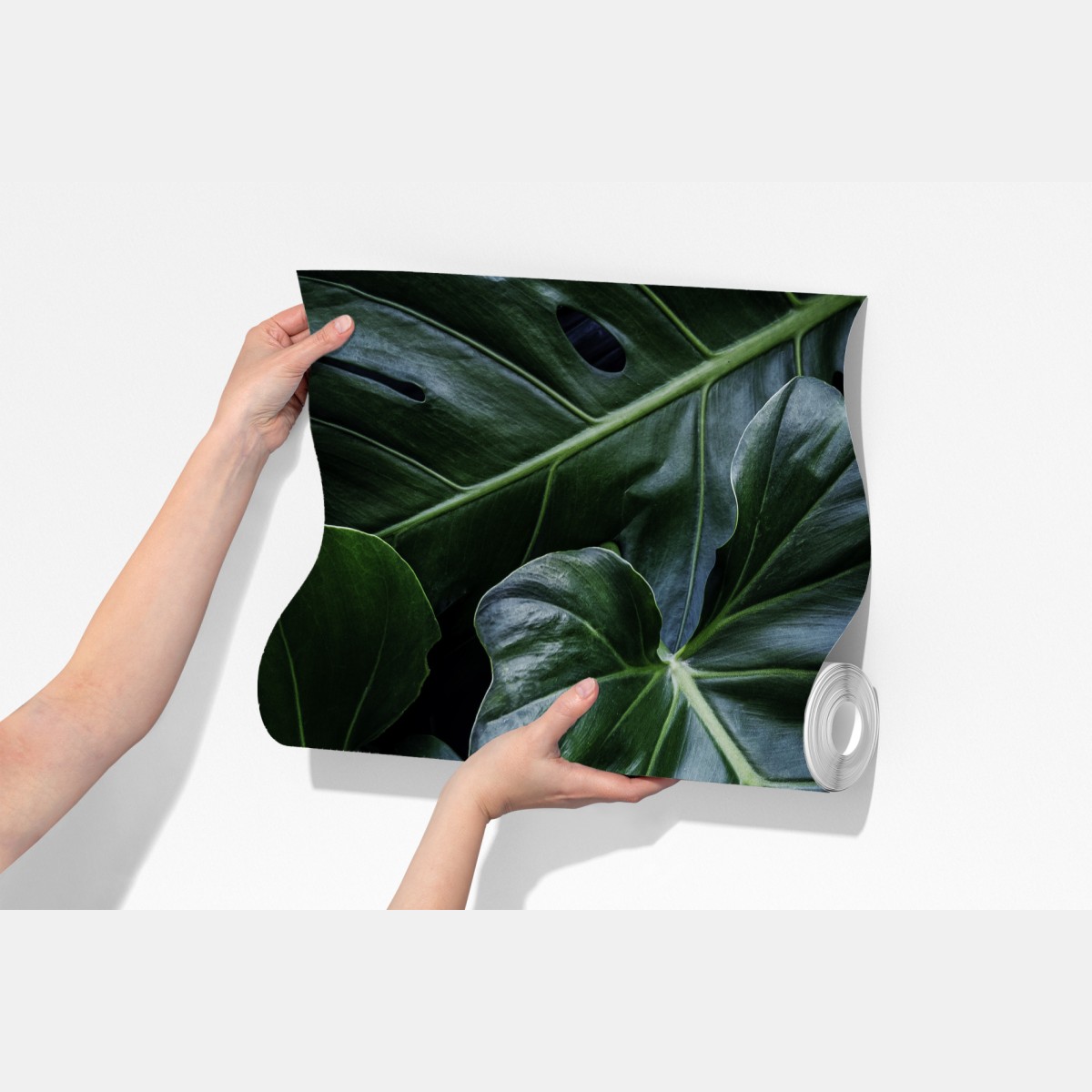 Fototapeta bujna tropikalna monstera – Wallissimo® Fototapeta bujna tropikalna monstera – Wallissimo®