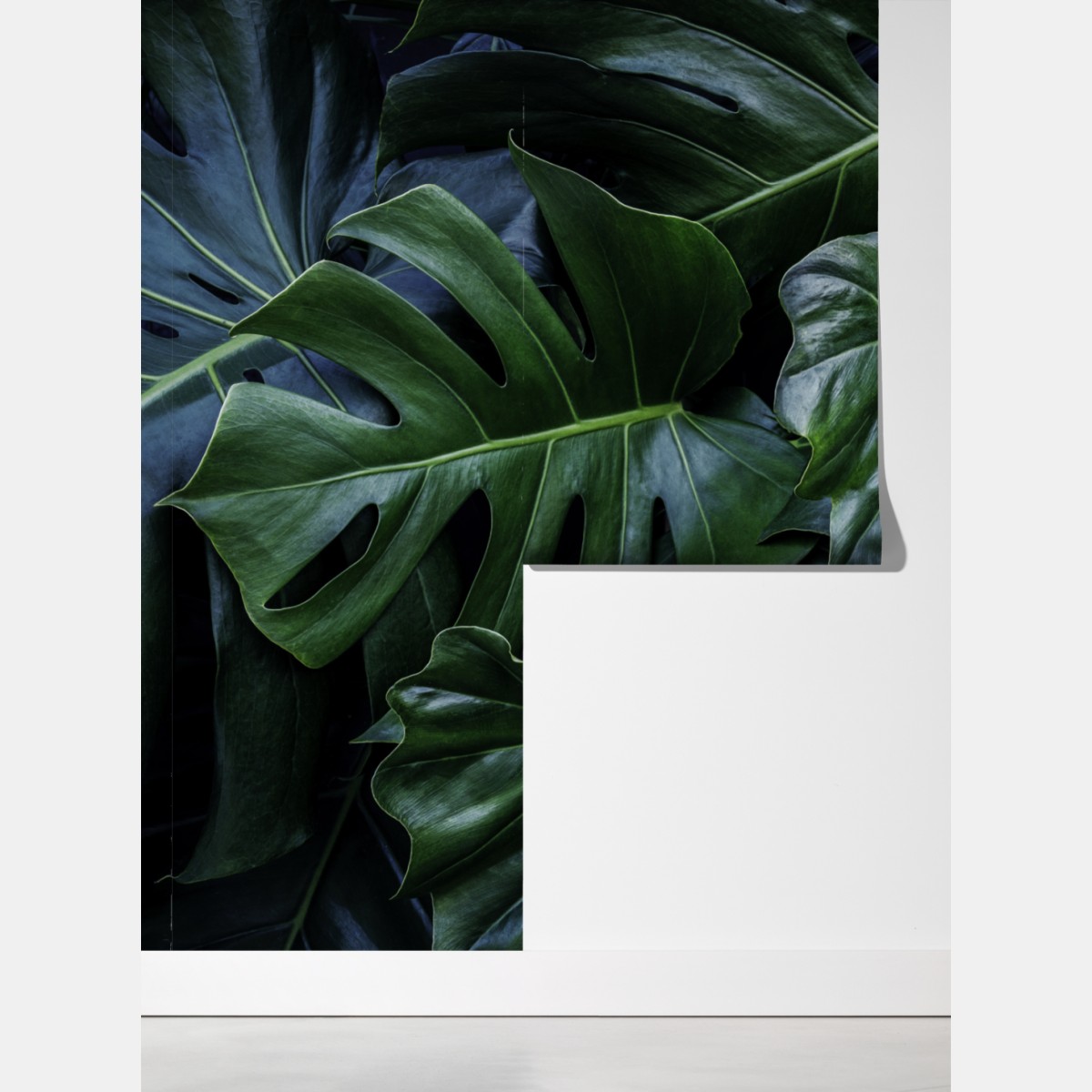 Fototapeta bujna tropikalna monstera – Wallissimo® Fototapeta bujna tropikalna monstera – Wallissimo®