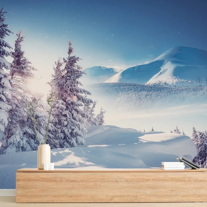 Fototapeta majestatyczny zimowy krajobraz Karpat