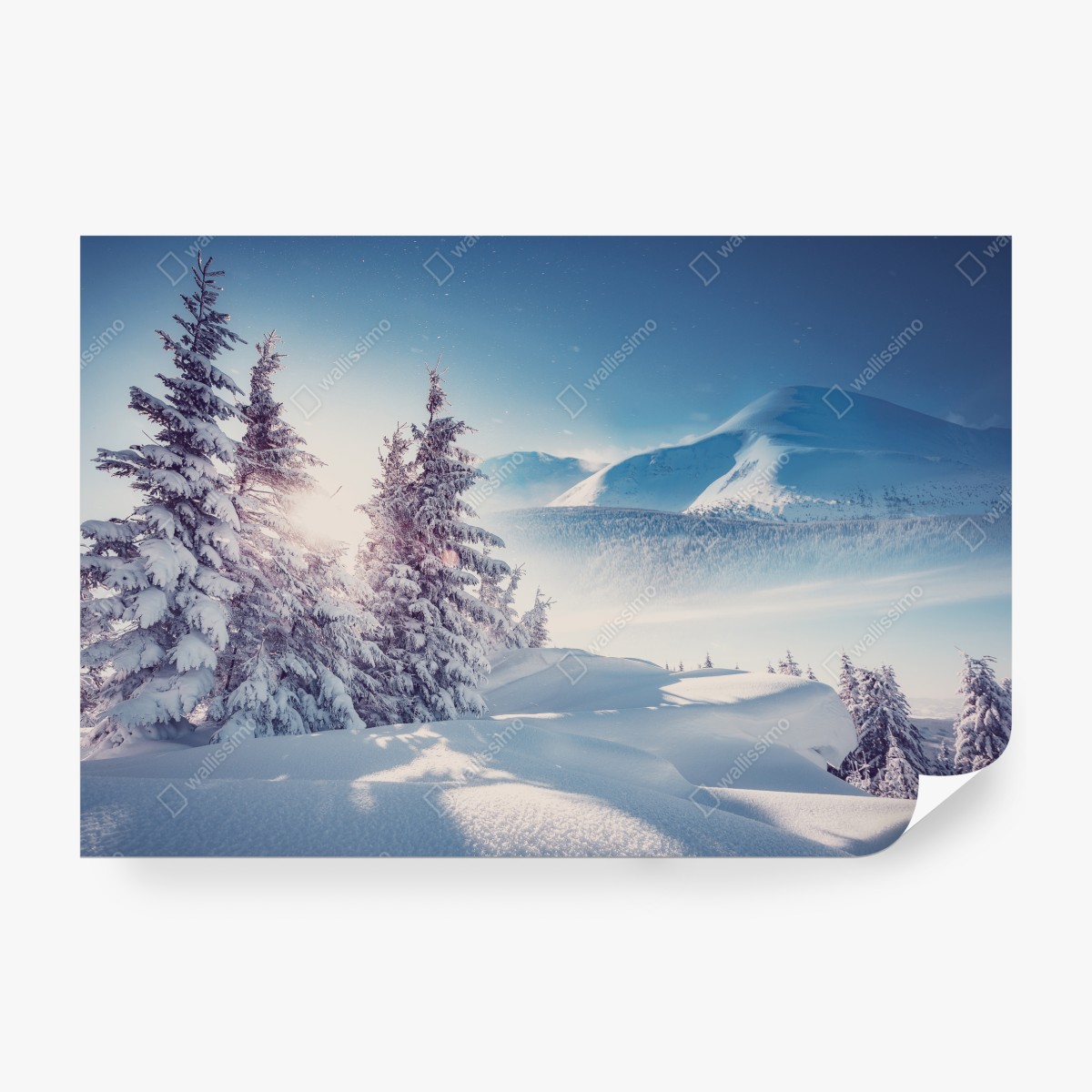 Fototapeta majestatyczny zimowy krajobraz Karpat – Wallissimo® Fototapeta majestatyczny zimowy krajobraz Karpat – Wallissimo®