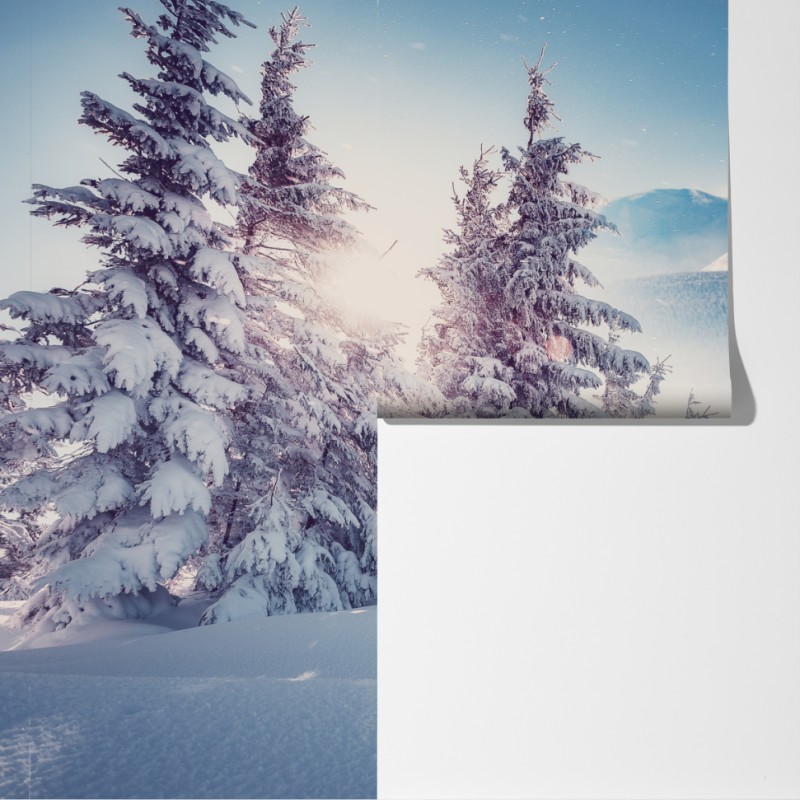 Fototapeta majestatyczny zimowy krajobraz Karpat – Wallissimo® Fototapeta majestatyczny zimowy krajobraz Karpat – Wallissimo®