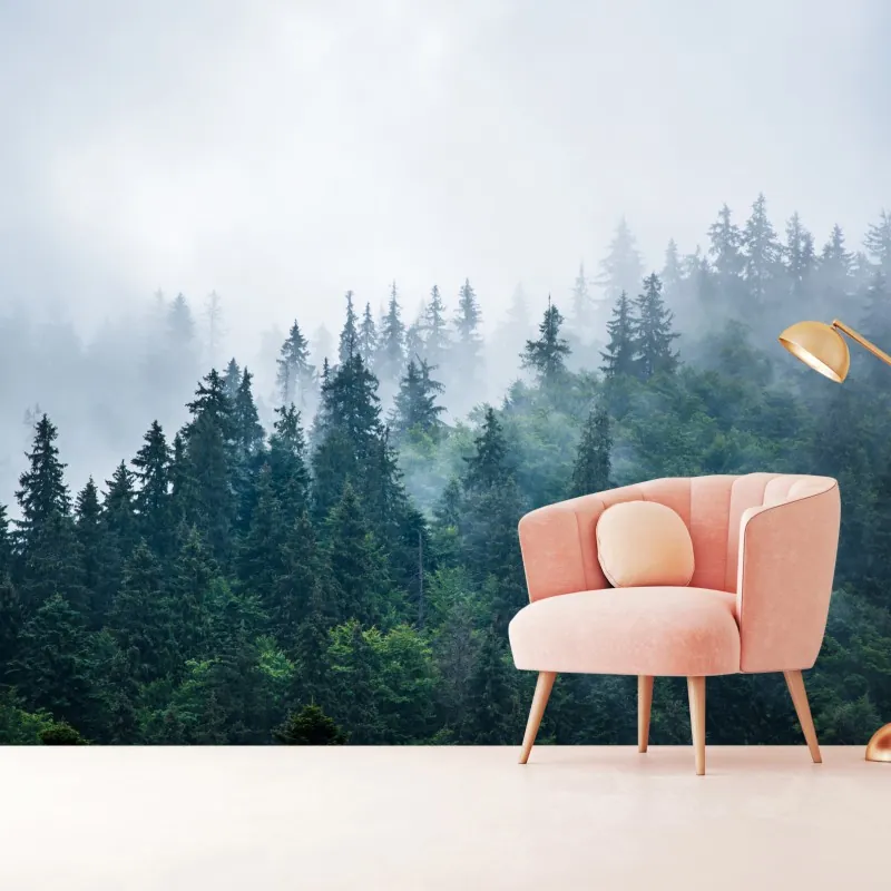 Fototapeta mglisty las iglasty