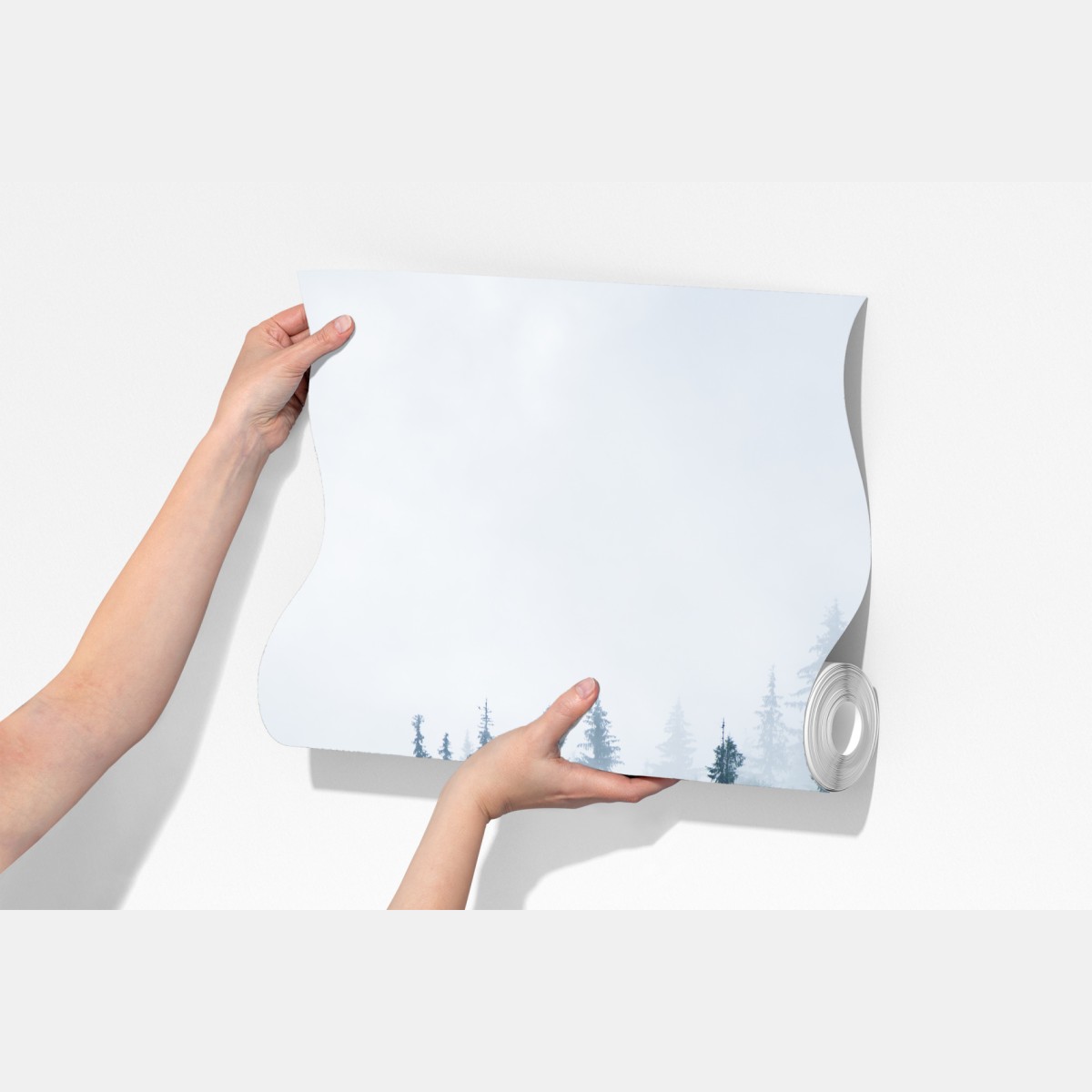 Fototapeta mglisty las iglasty – Wallissimo® Fototapeta mglisty las iglasty – Wallissimo®