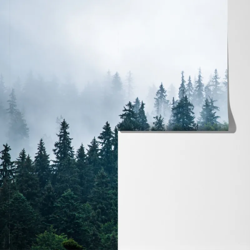 Fototapeta mglisty las iglasty – Wallissimo® Fototapeta mglisty las iglasty – Wallissimo®