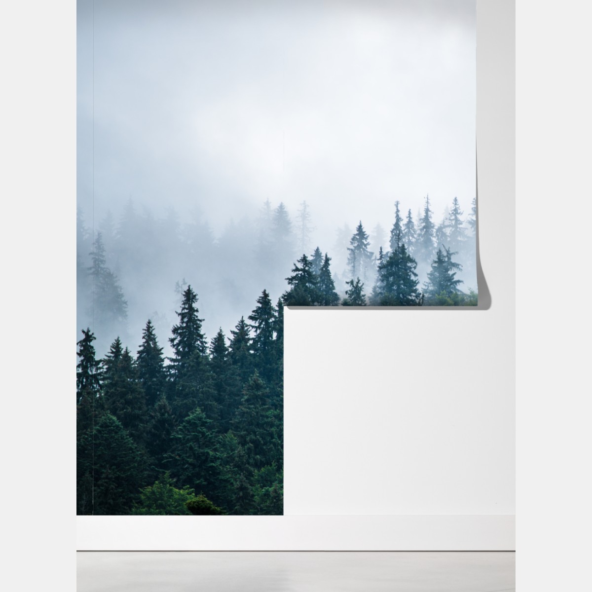 Fototapeta mglisty las iglasty – Wallissimo® Fototapeta mglisty las iglasty – Wallissimo®