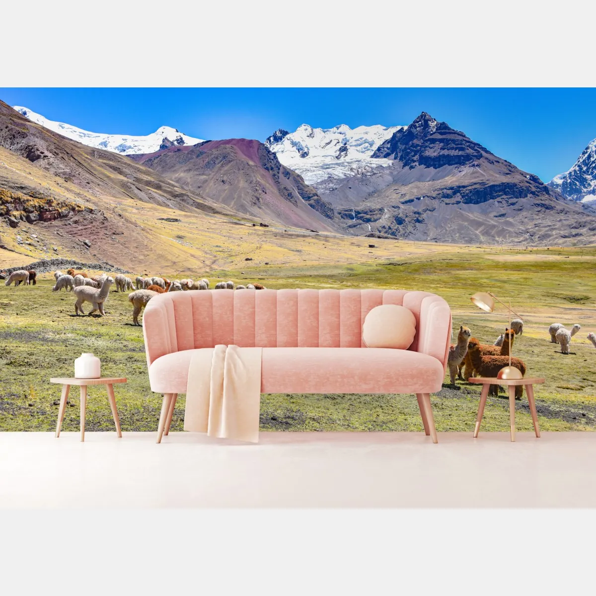 Fototapeta alpaki i lamy pasące się przy Mt Ausangate, Cusco – Wallissimo® Fototapeta alpaki i lamy pasące się przy Mt Ausangate, Cusco – Wallissimo®