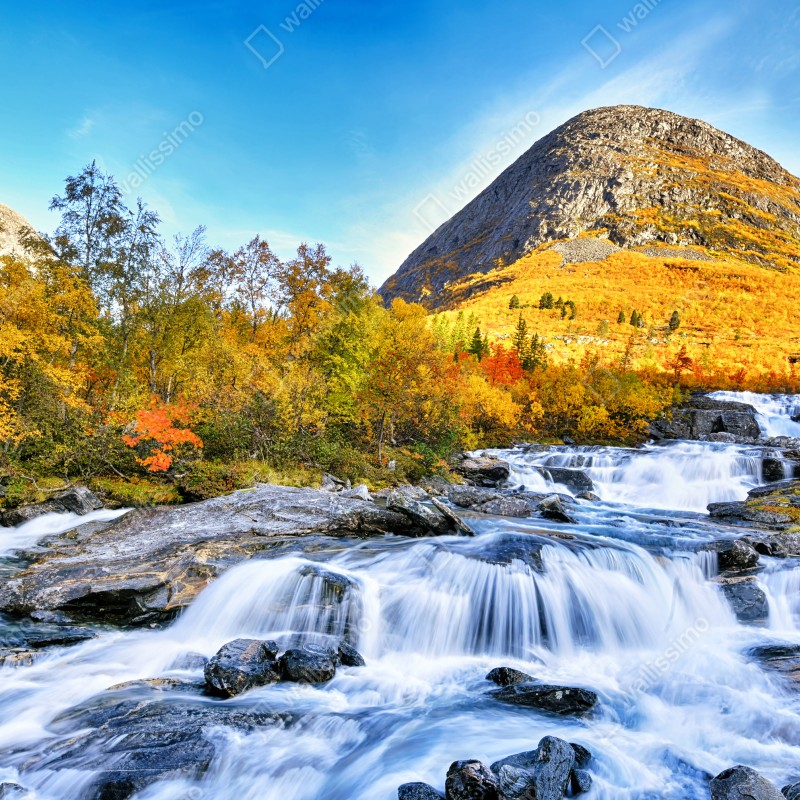 Fototapeta złoty jesienny wodospad – Wallissimo® Fototapeta złoty jesienny wodospad – Wallissimo®