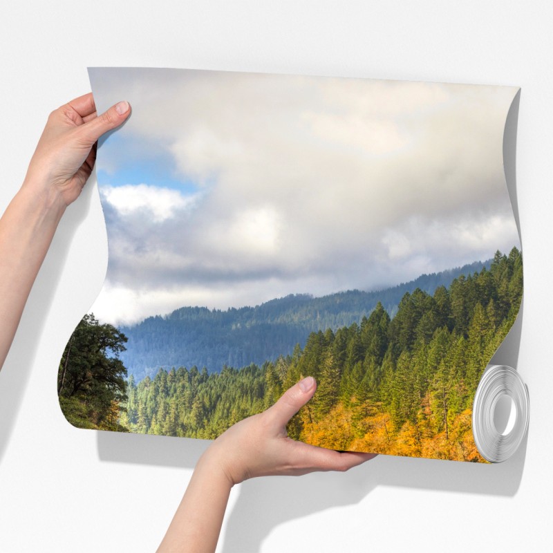 Fototapeta Rogue River jesienne odbicia – Wallissimo® Fototapeta Rogue River jesienne odbicia – Wallissimo®