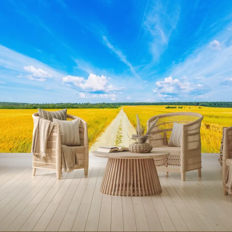 Fototapeta złote pole pod szerokim błękitnym niebem