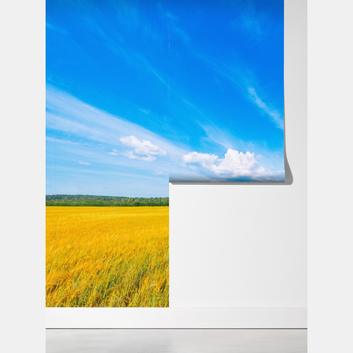 Fototapeta złote pole pod szerokim błękitnym niebem – Wallissimo® Fototapeta złote pole pod szerokim błękitnym niebem – Wallissimo®