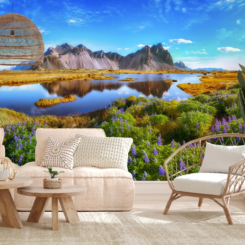 Fototapeta łąka łubinów przy Vestrahorn, Islandia