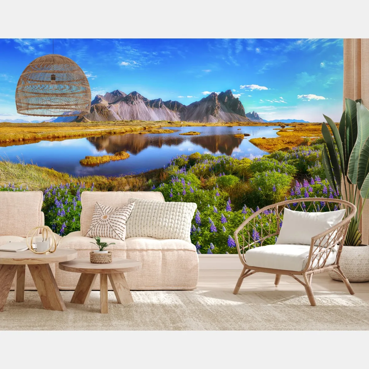 Fototapeta łąka łubinów przy Vestrahorn, Islandia – Wallissimo® Fototapeta łąka łubinów przy Vestrahorn, Islandia – Wallissimo®