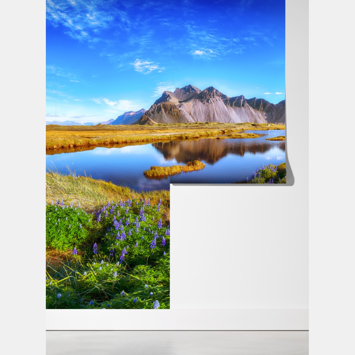 Fototapeta łąka łubinów przy Vestrahorn, Islandia – Wallissimo® Fototapeta łąka łubinów przy Vestrahorn, Islandia – Wallissimo®