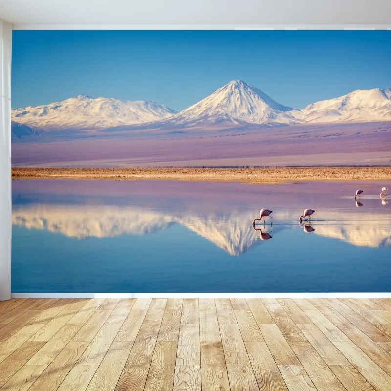 Fototapeta Laguna Chaxa z flamingami i Licancabur