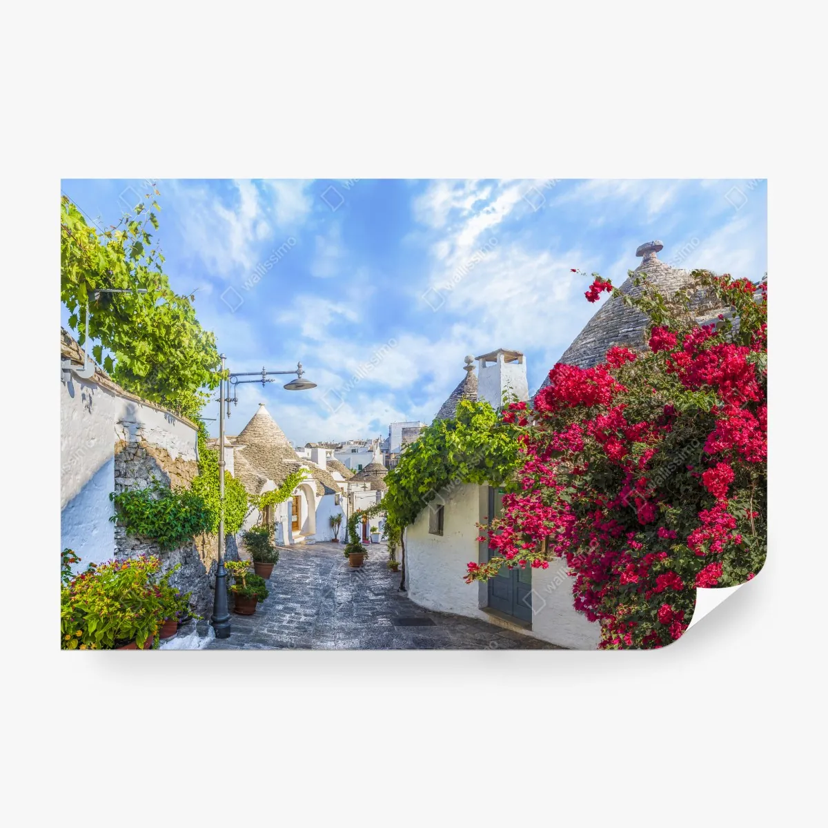 Fototapeta Alberobello trulli malownicza uliczka – Wallissimo® Fototapeta Alberobello trulli malownicza uliczka – Wallissimo®