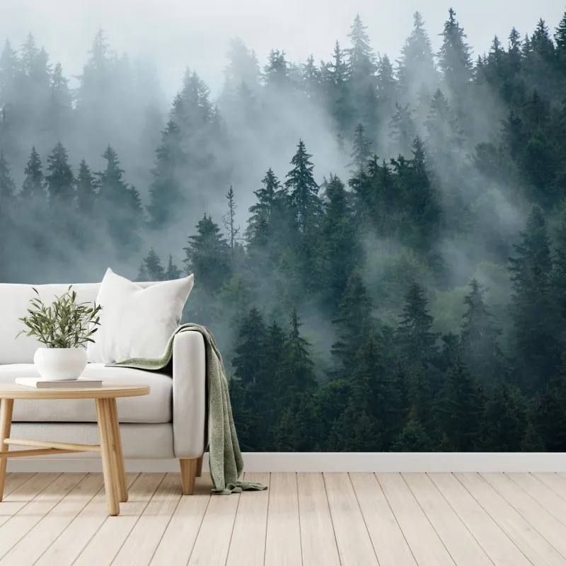 Fototapeta mglisty iglasty las
