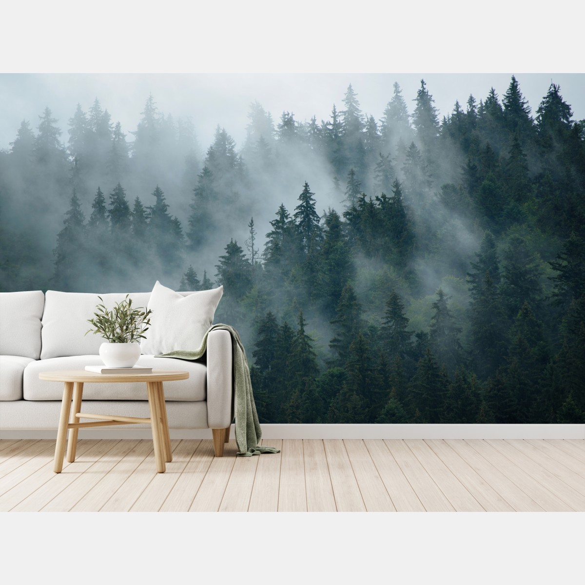 Wall mural misty evergreen forest