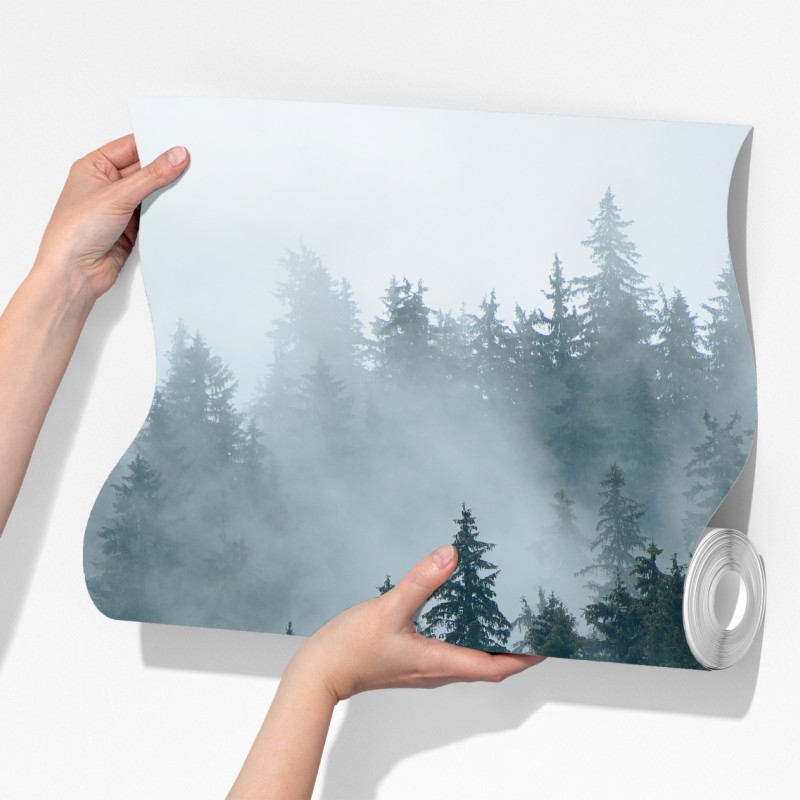 Fototapeta mglisty iglasty las – Wallissimo® Fototapeta mglisty iglasty las – Wallissimo®