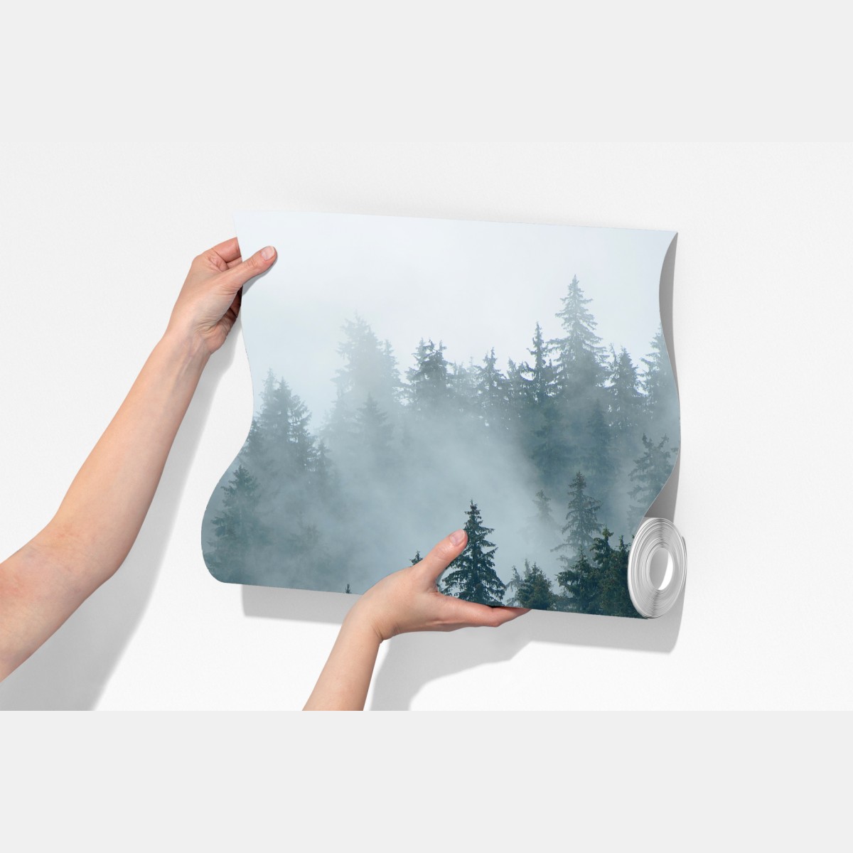 Fototapeta mglisty iglasty las – Wallissimo® Fototapeta mglisty iglasty las – Wallissimo®