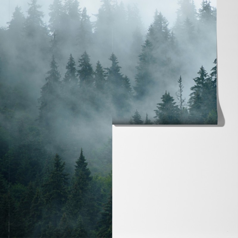 Fototapeta mglisty iglasty las – Wallissimo® Fototapeta mglisty iglasty las – Wallissimo®