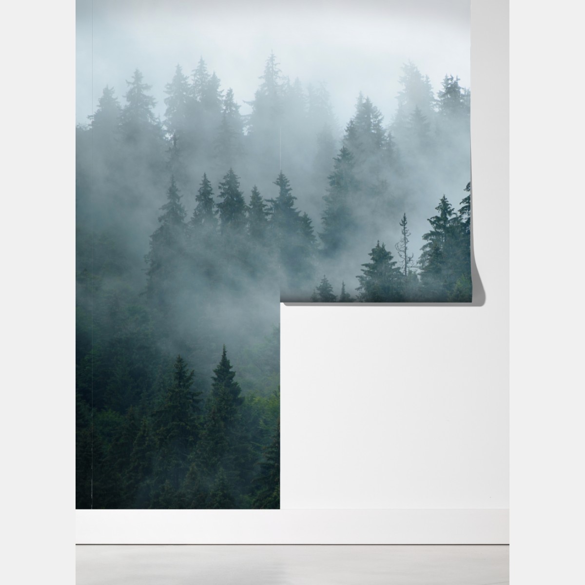 Fototapeta mglisty iglasty las – Wallissimo® Fototapeta mglisty iglasty las – Wallissimo®