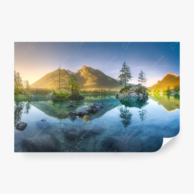 Fototapeta żywy portret tukana – Wallissimo®