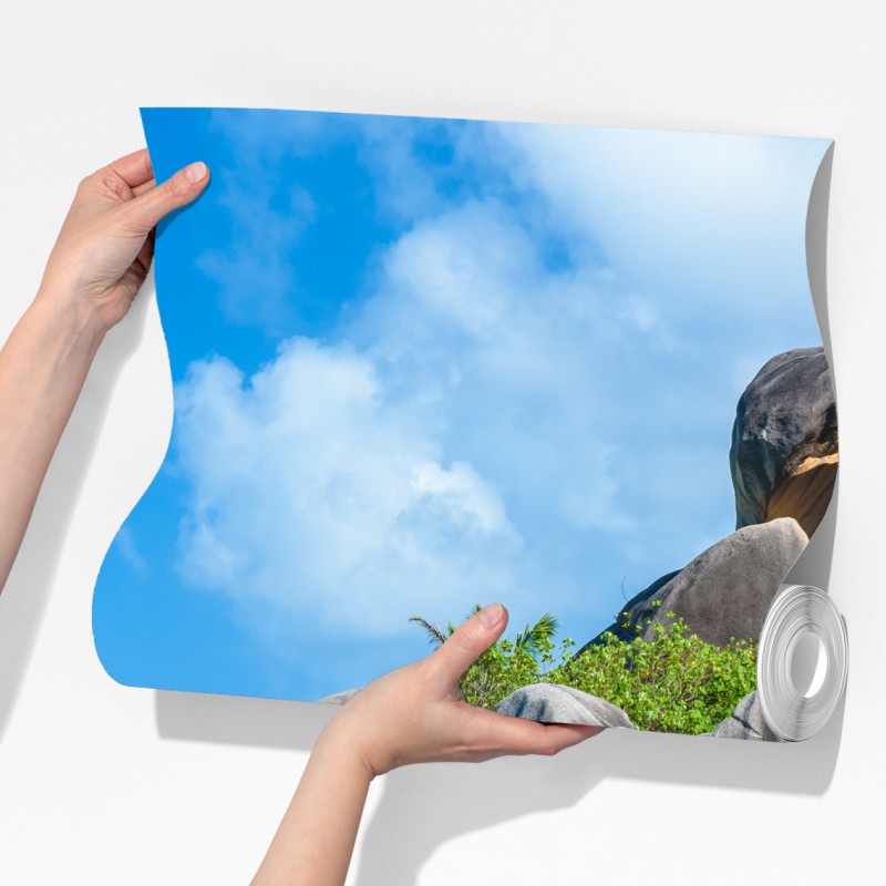 Fototapeta plaża Anse Source d'Argent, La Digue – Wallissimo® Fototapeta plaża Anse Source d'Argent, La Digue – Wallissimo®