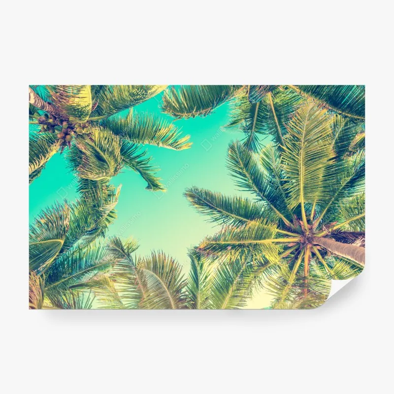 Fototapeta vintage turkusowy baldachim palm