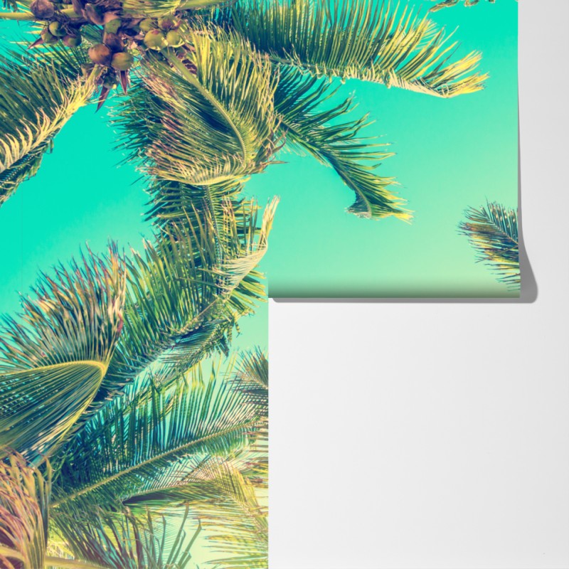 Fototapeta vintage turkusowy baldachim palm – Wallissimo® Fototapeta vintage turkusowy baldachim palm – Wallissimo®