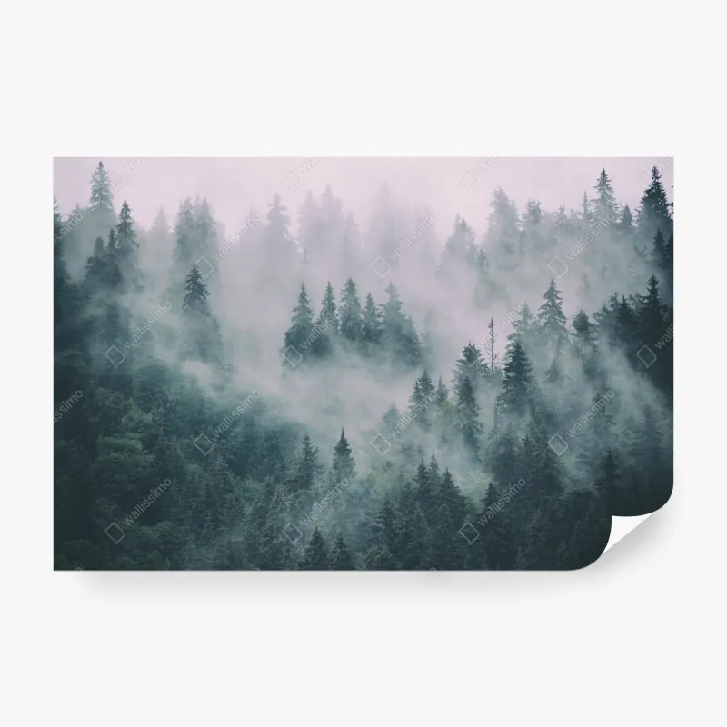 Fototapeta zabawny abstrakcyjny wzór roślinny – Wallissimo®