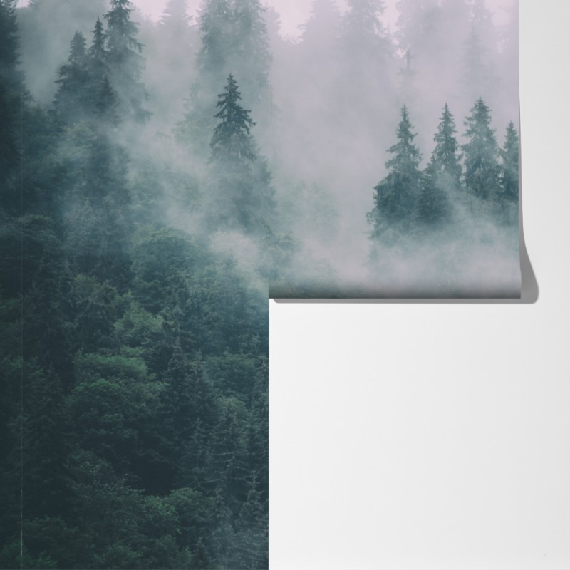 Fototapeta mglisty las iglasty – Wallissimo® Fototapeta mglisty las iglasty – Wallissimo®