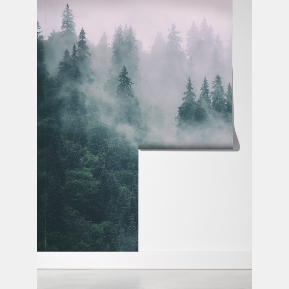 Fototapeta mglisty las iglasty – Wallissimo® Fototapeta mglisty las iglasty – Wallissimo®